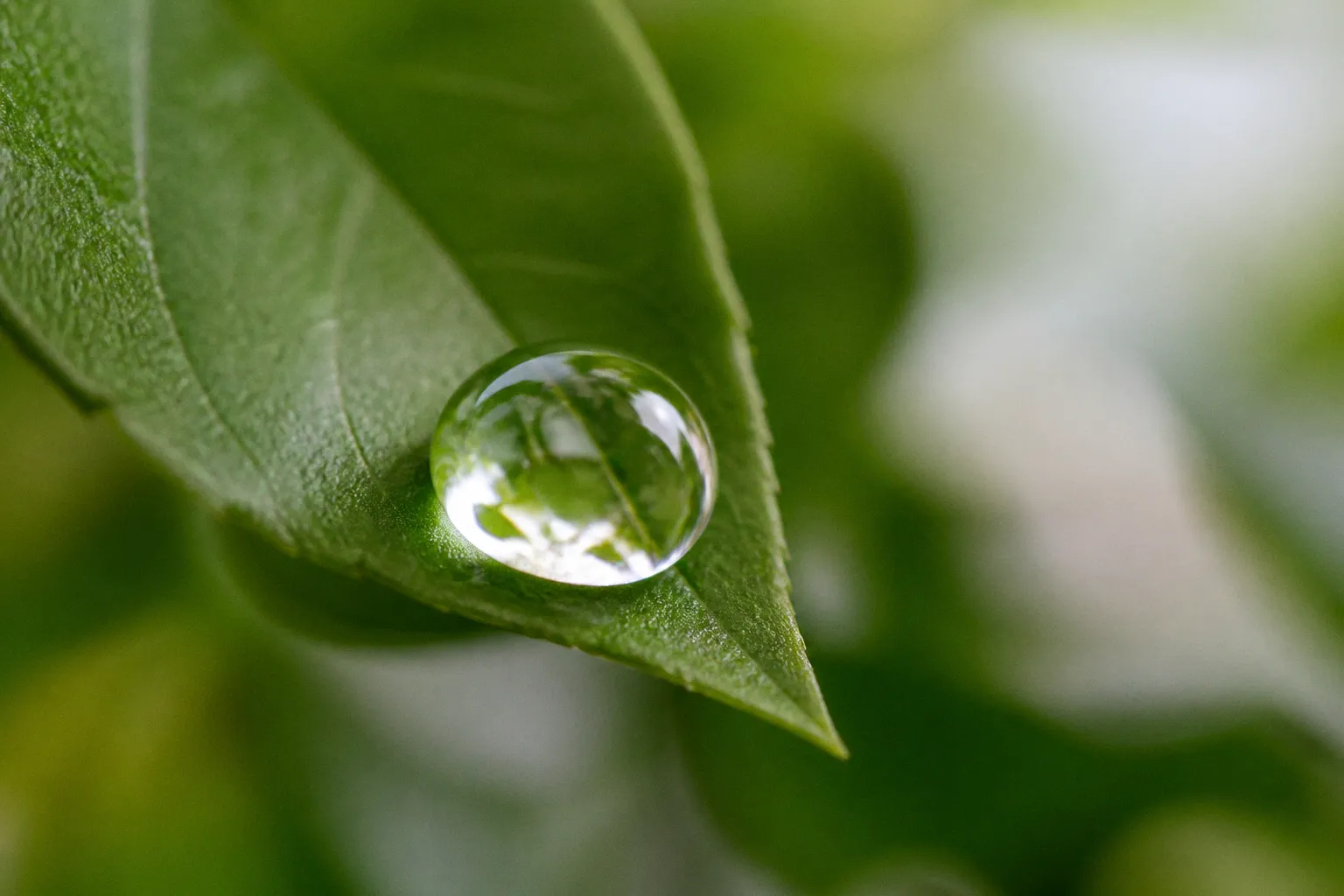 Odbudowa bariery hydrolipidowej: etapy regeneracji cery